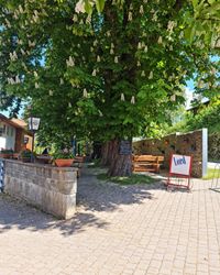 Landgasthof Bergm&uuml;ller in Feldkirchen-Westerham hat einen Biergarten mit Kastanienb&auml;ume der f&uuml;r Anl&auml;sse, Geburtstag, Firmenfeier gebucht werden kann